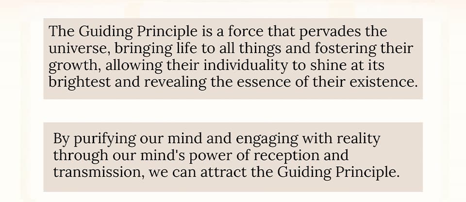 The Guiding Principle